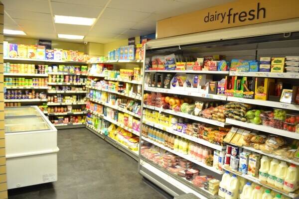 Freehold Commercial Property Investment Opportunity Photo 2