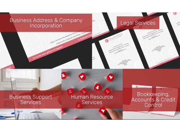 Well Established Management Consultancy Business For Sale