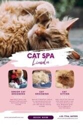 Cat Grooming Spa niche market in Lincolnshire. Cat Grooming Spa niche market in Lincolnshire.