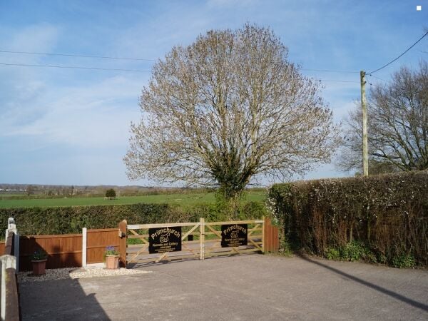 Well Established Boarding Kennels For Sale Photo 2