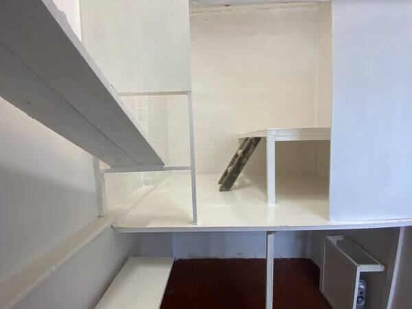 Long-Established & Thriving Cattery With Accommodation In Affluent Suburb of SW London Photo 2