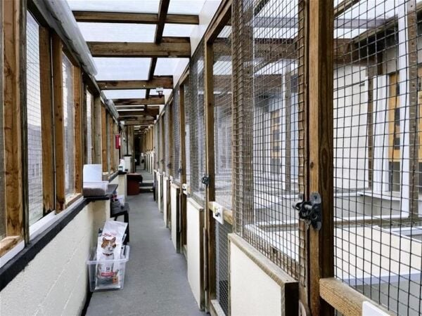 5* Cattery - Cornwall Photo 2