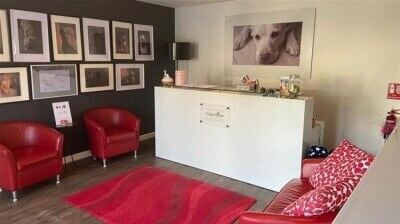 LUXURY PET HOTEL - LANARKSHIRE / FREEHOLD OPPORTUNITY Photo 2