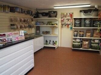 Kennels, Cattery & Equestrian businesses For Sale in Rugby Photo 2