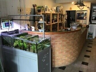 Well established aquatic pet shop for sale Photo 2