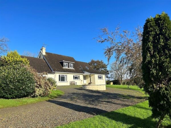 Luxury Boarding Kennels - Pembrokeshire Photo 2