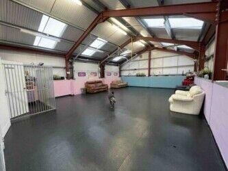 Exceptional Doggy Day Care Centre, Inverness Photo 2
