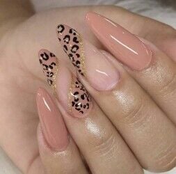 USA nails and beauty for sale in Glasgow west end 