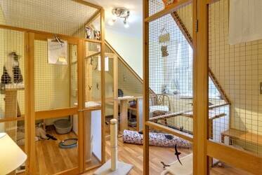 Successful in-house cattery for sale, Dufftown Successful in-house cattery for sale, Dufftown
