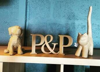 Beautiful pet store for sale Photo 3