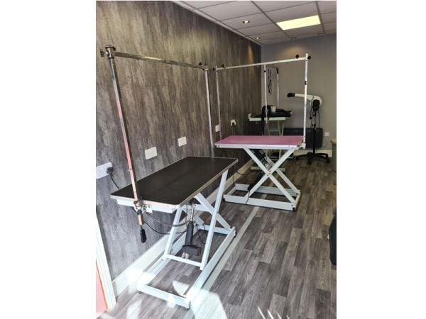 Well Established Dog & Cat Groomers For Sale Well Established Dog & Cat Groomers For Sale