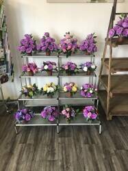 Flower Shop for sale Flower Shop for sale