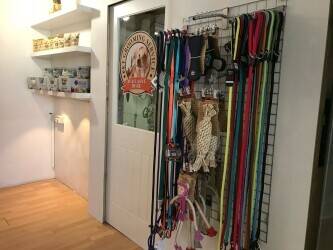 This is an excellent opportunity to purchase a well-established dog grooming business in East Sussex Photo 2