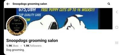 Dog grooming salon & services for sale in Glasgow 5* 1000 reviews