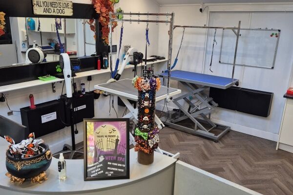 Leasehold Dog Groomers - Central Lancashire Leasehold Dog Groomers - Central Lancashire