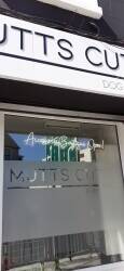 Dog Groomers Enniskillen