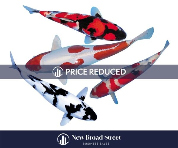 Koi Carp Business - Henley - OFFERS INVITED £125K Koi Carp Business - Henley - OFFERS INVITED £125K