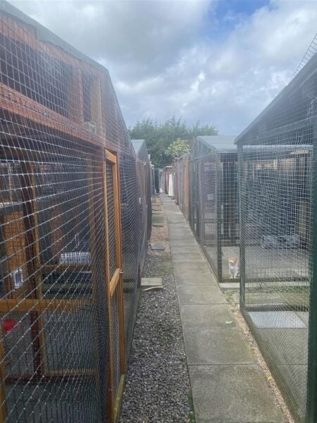 BOARDING KENNELS & CATTERY - MIDLOTHIAN Photo 2