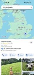 Wagandwalks Profitable Dog Walking & Care Business for Sale