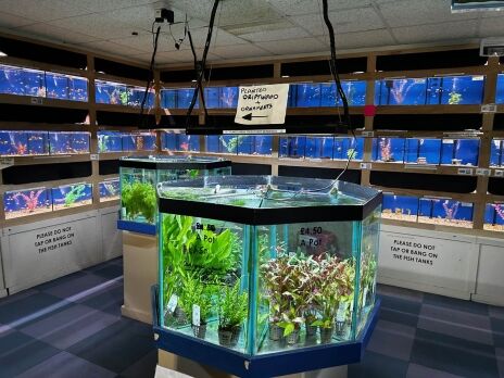 Unique Long Established Aquatics Business with Accommodation West Midalnds Photo 2