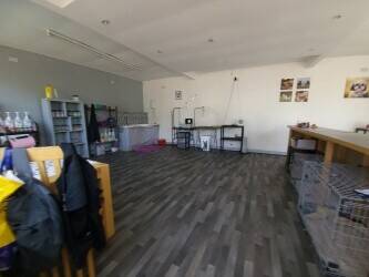 Dog groomers shop for rent