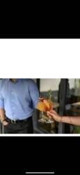 Wine bar/restaurant for Sale