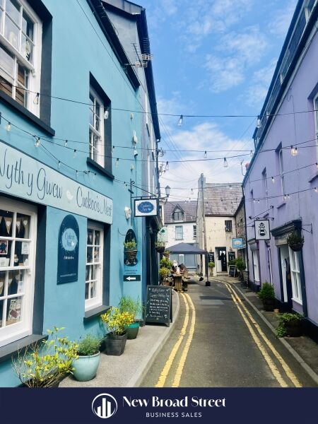 Well-Established Retail Shop in Llandeilo South Wales Photo 2