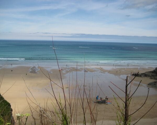 Freehold Fish & Chip Takeaway & Restaurant Located In Newquay