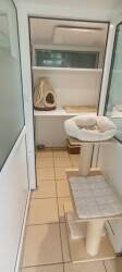 Boarding Cattery for sale in Farnham, Surrey Photo 3