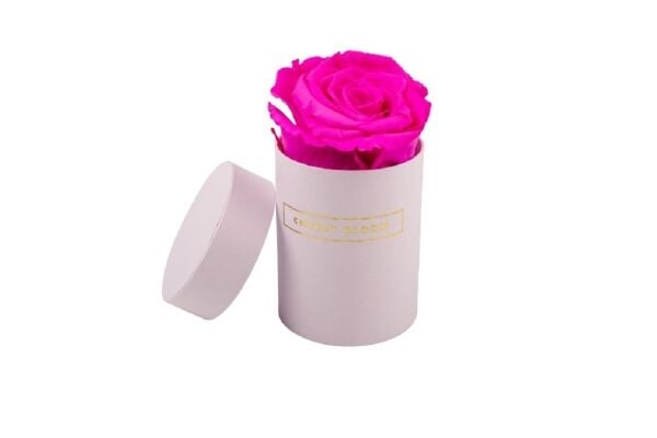 Established Relocatable Eternity Rose Business