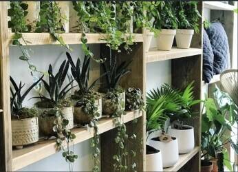 Well respected florist & homeware store in prime London/Essex location. Well respected florist & homeware store in prime London/Essex location.