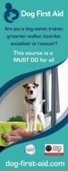 Dog First Aid Training for sale in Gloucestershire - Franchise Dog First Aid Training for sale in Gloucestershire - Franchise