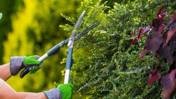 Profitable Gardening & Landscaping Business Based in Bristol
