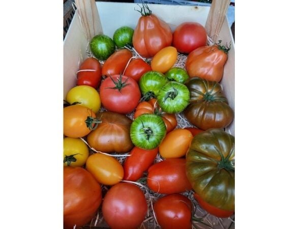 Fresh Opportunity: Thriving Fruit & Veg Business Ready to Grow! Fresh Opportunity: Thriving Fruit & Veg Business Ready to Grow!