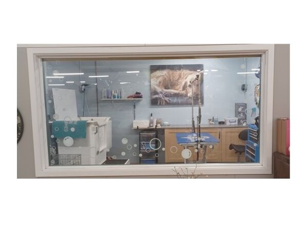 Pawsitively Profitable! Dog Grooming Business in Prime Garden Centre Spot Photo 2