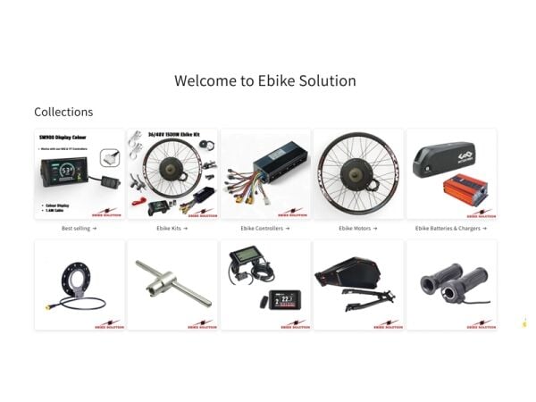 Fast-Growing e-Mobility Business with Big Potential!