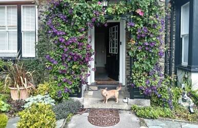 Leasehold Delightful Guest House Hotel Bed and Breakfast Living Accommodation Bownness-on-Windermere
