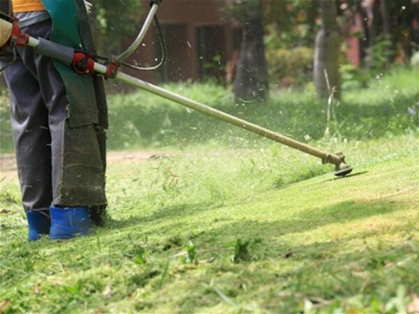 Gardening & Landscape Gardening For Sale in West Yorkshire Gardening & Landscape Gardening For Sale in West Yorkshire