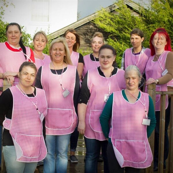 DOMESTIC AND COMMERCIAL CLEANING COMPANY