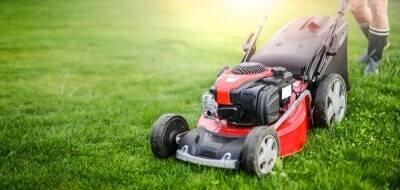 Established Garden Maintenance & Landscaping Business Established Garden Maintenance & Landscaping Business