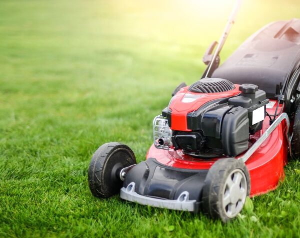 Established Garden Maintenance & Landscaping Business, Essex & Suffolk Established Garden Maintenance & Landscaping Business, Essex & Suffolk
