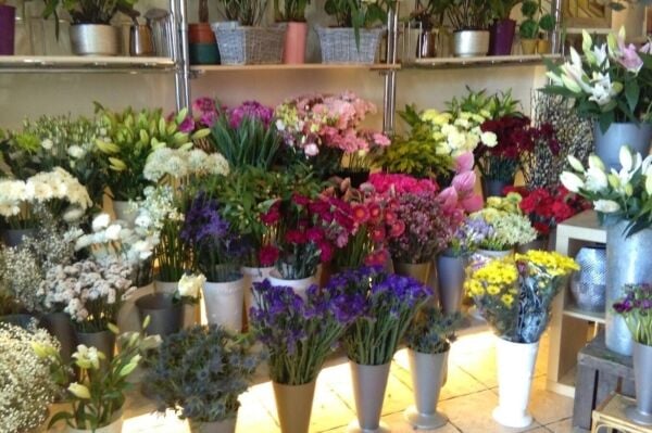 Established Florist - Renfrew