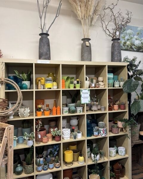 AN ESTABLISHED FLORIST