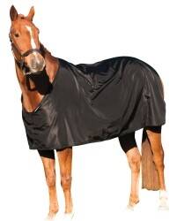 Horse & Pony Rugs, Bibs, Maneguards. Manufacture and Sales. Online Equestrian Business. Relocate. Horse & Pony Rugs, Bibs, Maneguards. Manufacture and Sales. Online Equestrian Business. Relocate.