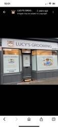 Pet grooming salon for sale in Stockport Pet grooming salon for sale in Stockport