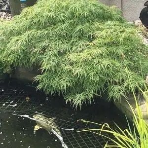 Heron Solutions