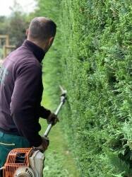 Gardening/ Maintenance / Landscape Business for Sale in Surrey Gardening/ Maintenance / Landscape Business for Sale in Surrey