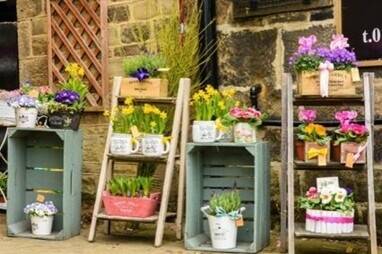 Very Well-Known Flower Shop Business Very Well-Known Flower Shop Business