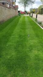 Established Lawn Care Business – 400 Customers – £60k Annual Profit Established Lawn Care Business – 400 Customers – £60k Annual Profit