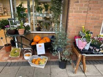 Established Florist Business for Sale – Park Farm, Allestree (Derby) 